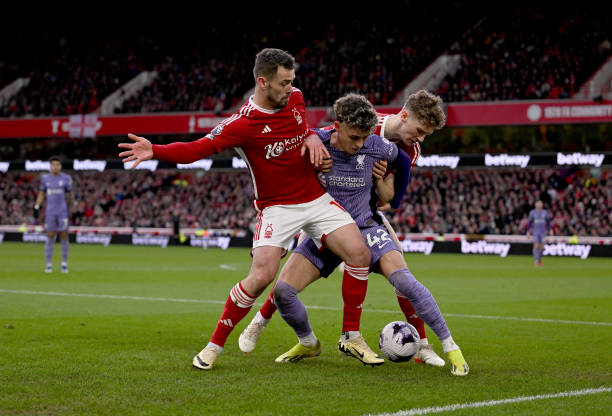 令人惊叹的 令人惊叹的