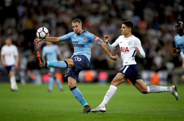 的职业生涯 的职业生涯