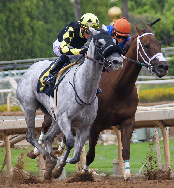 转会的潜在 转会的潜在